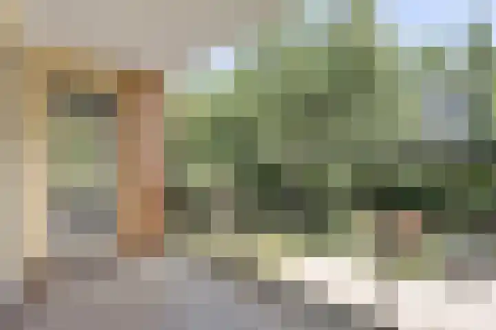 Professor Boerhaaveweg 87 Voorschoten thumbnail 17