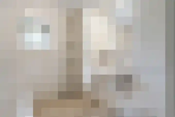 Professor Boerhaaveweg 87 Voorschoten thumbnail 19