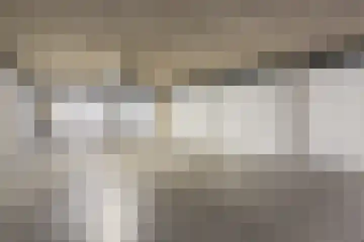 Professor Boerhaaveweg 87 Voorschoten thumbnail 21