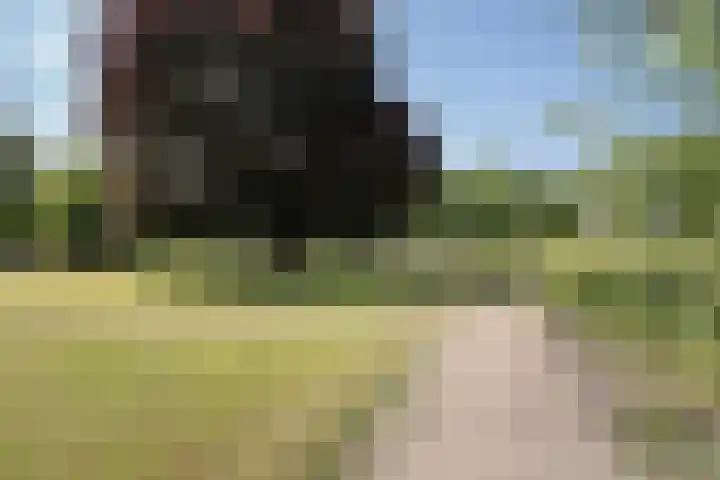 Professor Boerhaaveweg 87 Voorschoten thumbnail 23