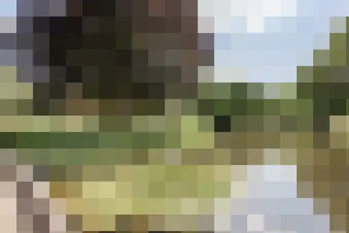 Professor Boerhaaveweg 87 Voorschoten thumbnail 24