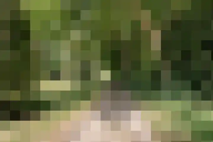 Professor Boerhaaveweg 87 Voorschoten thumbnail 30