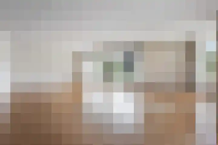 Professor Boerhaaveweg 87 Voorschoten thumbnail 6