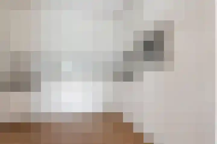 Professor Boerhaaveweg 87 Voorschoten thumbnail 9