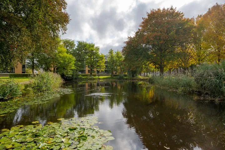 Professor Boerhaaveweg 9 Voorschoten thumbnail 38