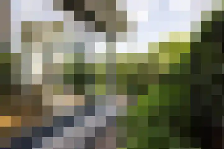 Professor Bolklaan 7 Rotterdam thumbnail 12