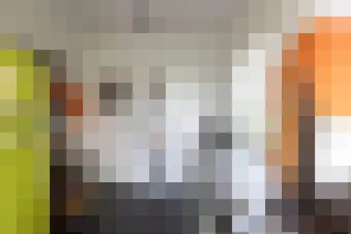 Professor Bolklaan 7 Rotterdam thumbnail 17