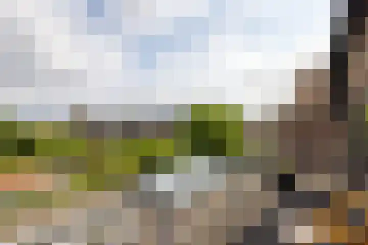 Professor Bolklaan 7 Rotterdam thumbnail 21