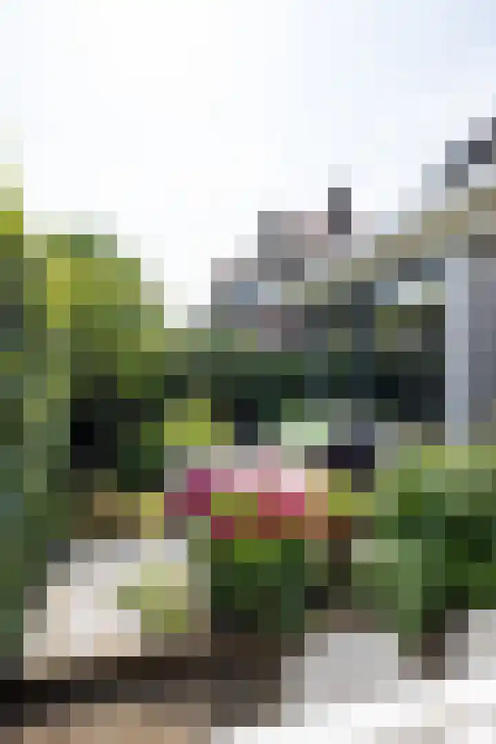 Professor Bolklaan 7 Rotterdam thumbnail 42