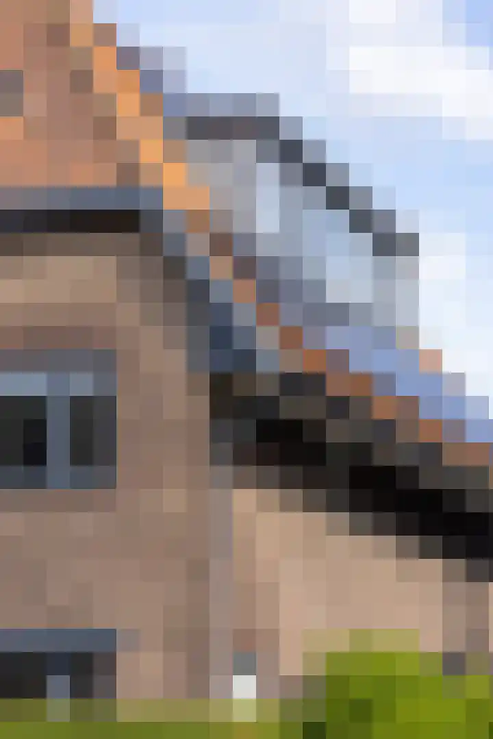Professor Bolklaan 7 Rotterdam thumbnail 47