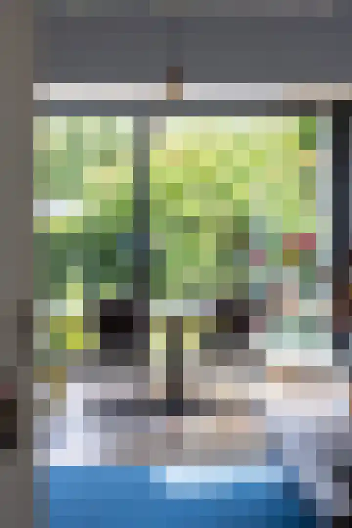 Professor Bolklaan 7 Rotterdam thumbnail 9