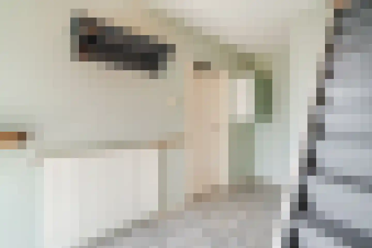 Professor Bronkhorstlaan 54 Vleuten thumbnail 21