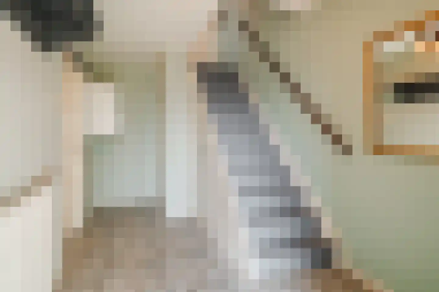 Professor Bronkhorstlaan 54 Vleuten thumbnail 22