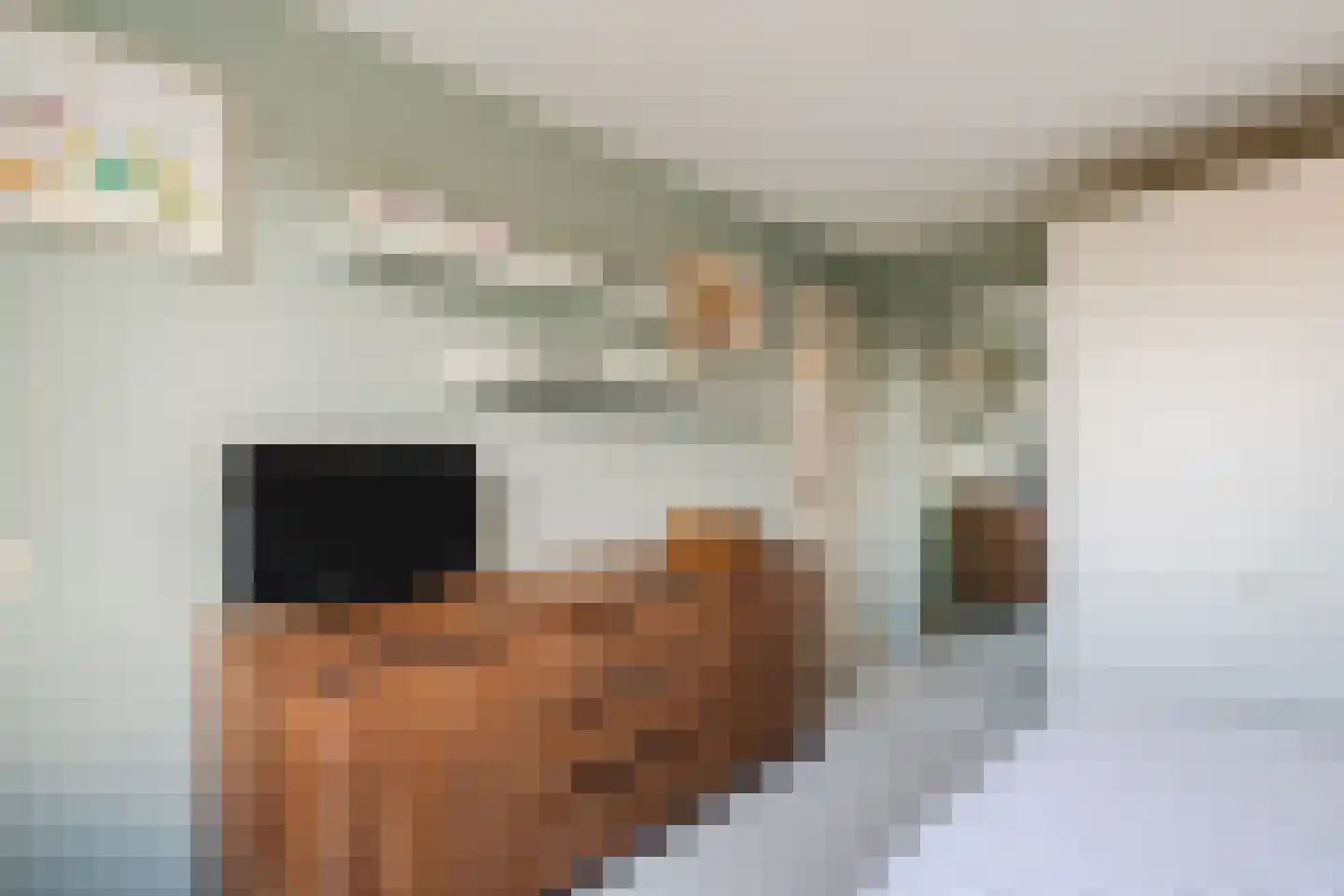 Professor Bronkhorstlaan 54 Vleuten thumbnail 26