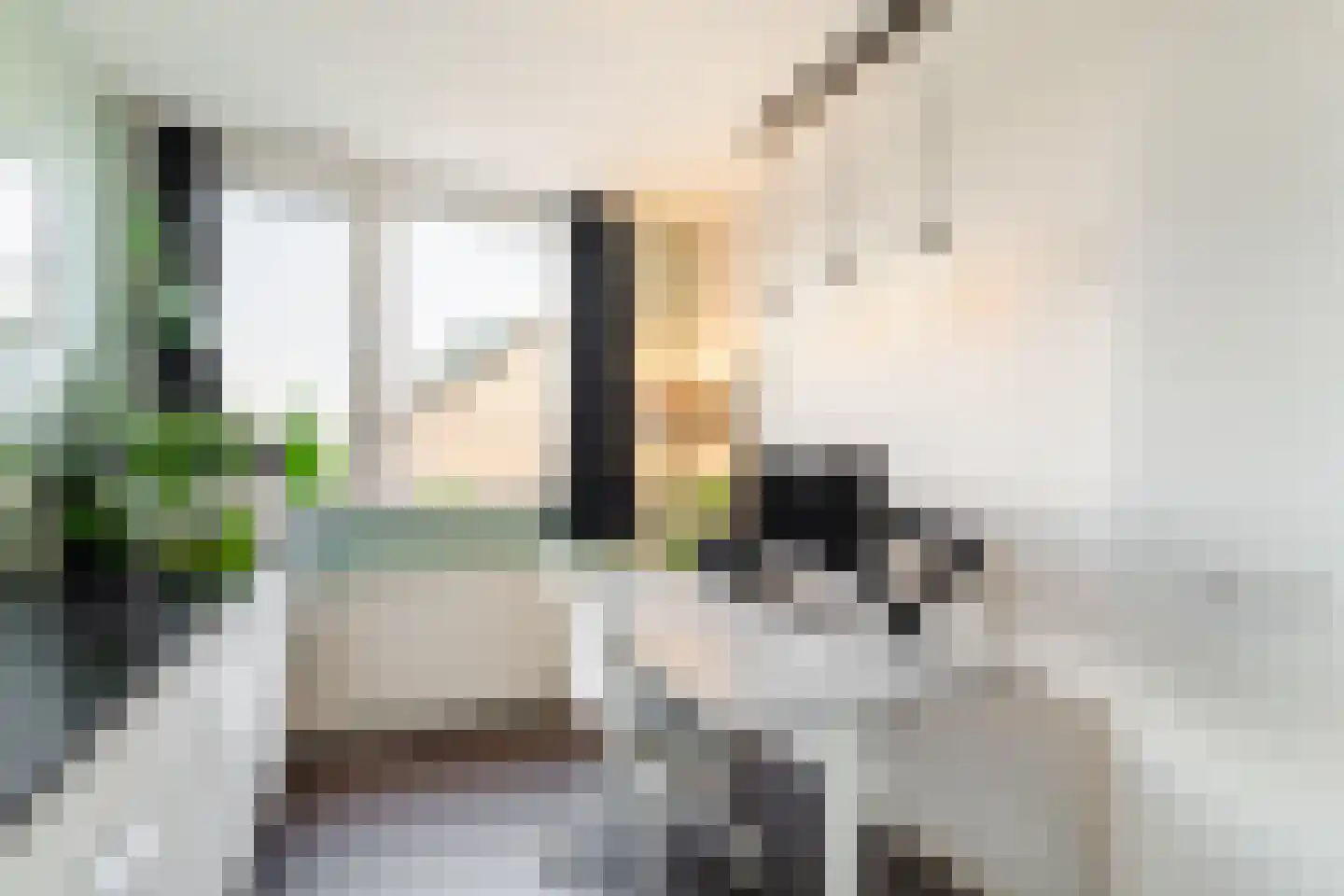 Professor Bronkhorstlaan 54 Vleuten thumbnail 30