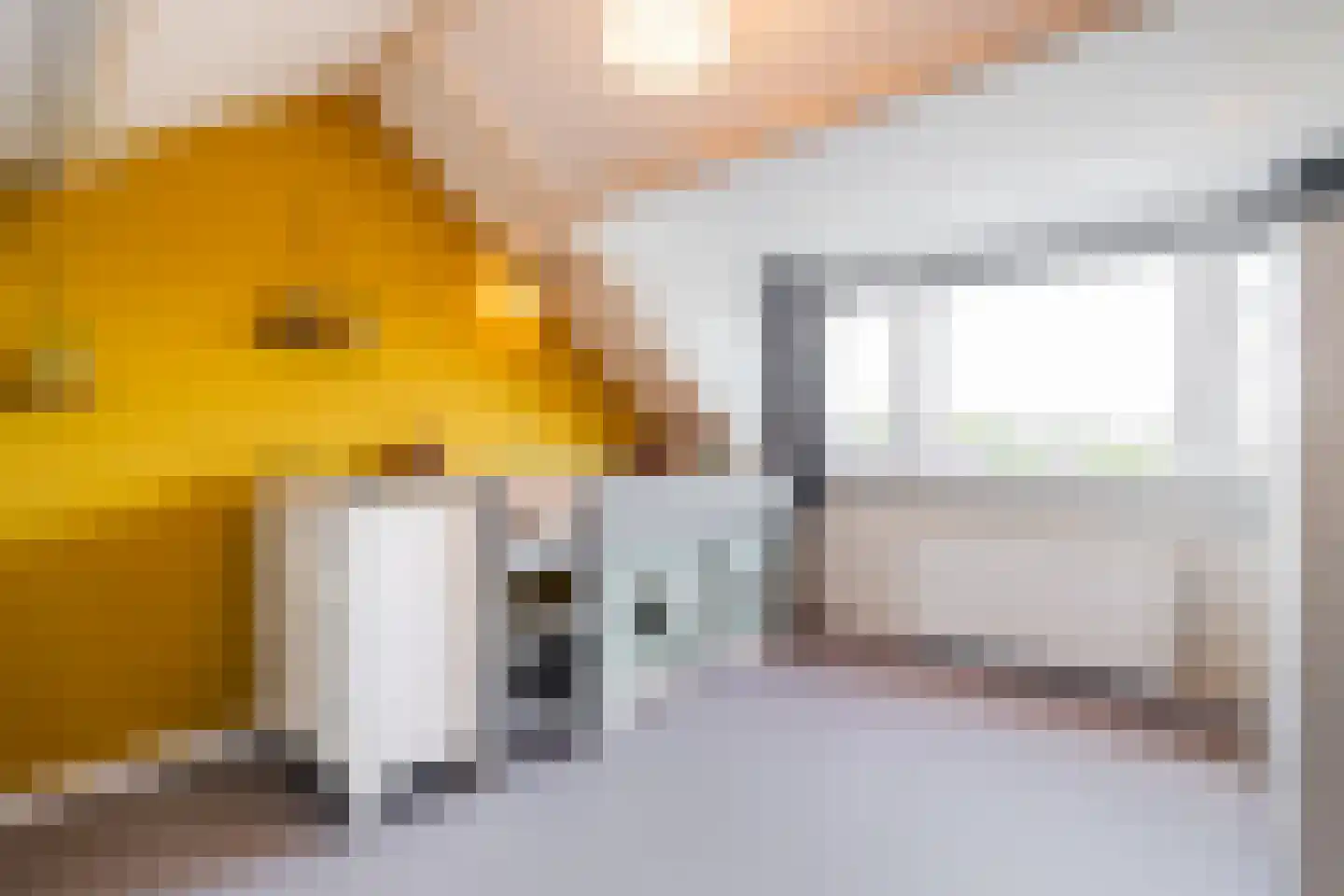 Professor Bronkhorstlaan 54 Vleuten thumbnail 40