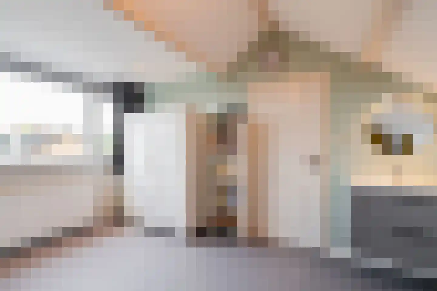 Professor Bronkhorstlaan 54 Vleuten thumbnail 41