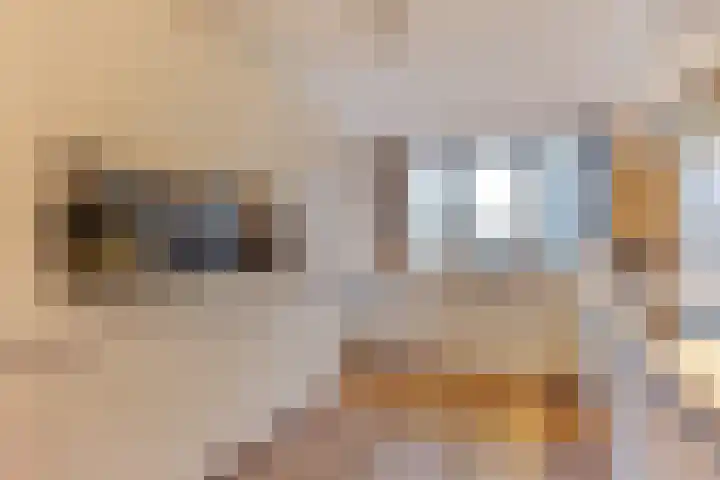 Professor Brouwerlaan 21 Blaricum thumbnail 10
