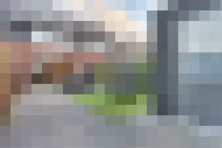 Professor Brouwerlaan 21 Blaricum thumbnail 11