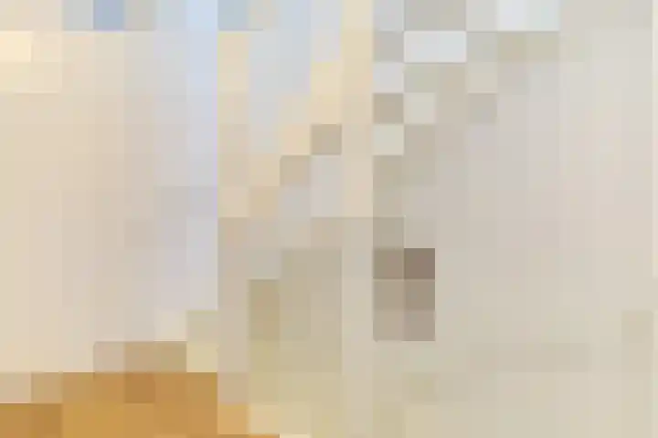 Professor Brouwerlaan 21 Blaricum thumbnail 12