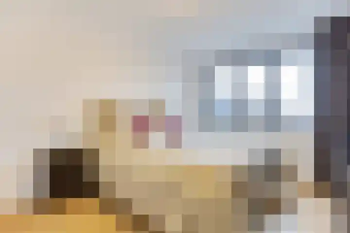 Professor Brouwerlaan 21 Blaricum thumbnail 13