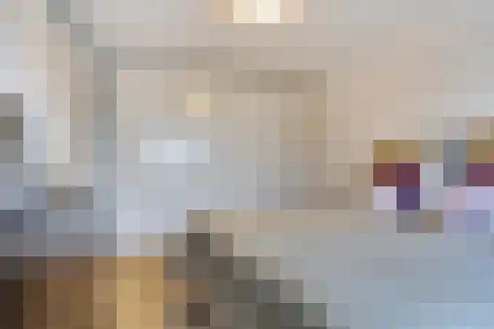 Professor Brouwerlaan 21 Blaricum thumbnail 14