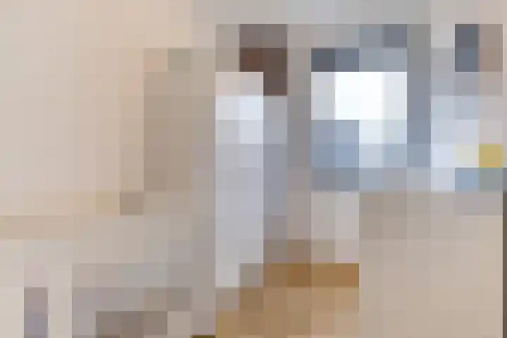 Professor Brouwerlaan 21 Blaricum thumbnail 17