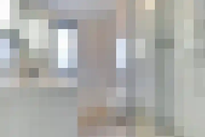 Professor Brouwerlaan 21 Blaricum thumbnail 18
