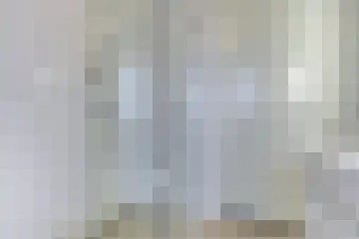 Professor Brouwerlaan 21 Blaricum thumbnail 19