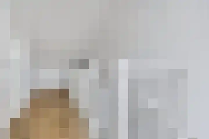 Professor Brouwerlaan 21 Blaricum thumbnail 20