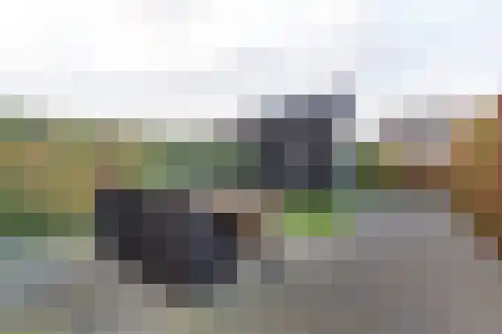 Professor Brouwerlaan 21 Blaricum thumbnail 23