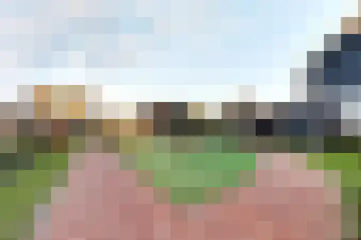 Professor Brouwerlaan 21 Blaricum thumbnail 24