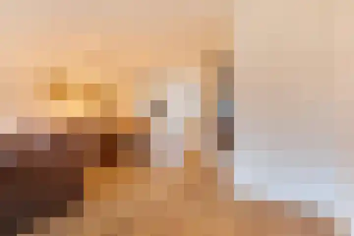 Professor Brouwerlaan 21 Blaricum thumbnail 7