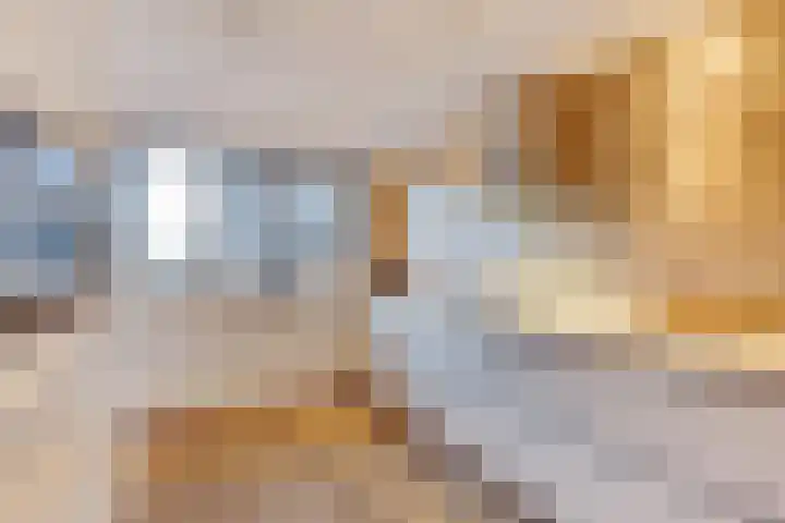Professor Brouwerlaan 21 Blaricum thumbnail 9