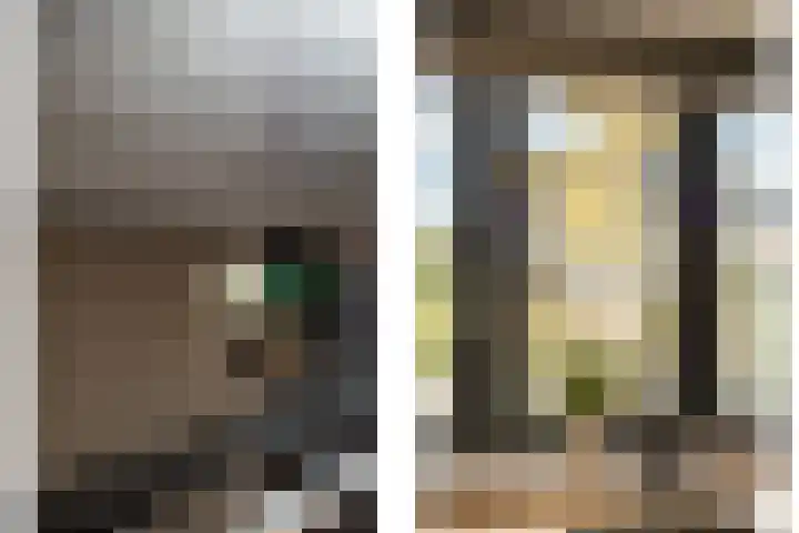 Professor Brouwerlaan 27 Blaricum thumbnail 15