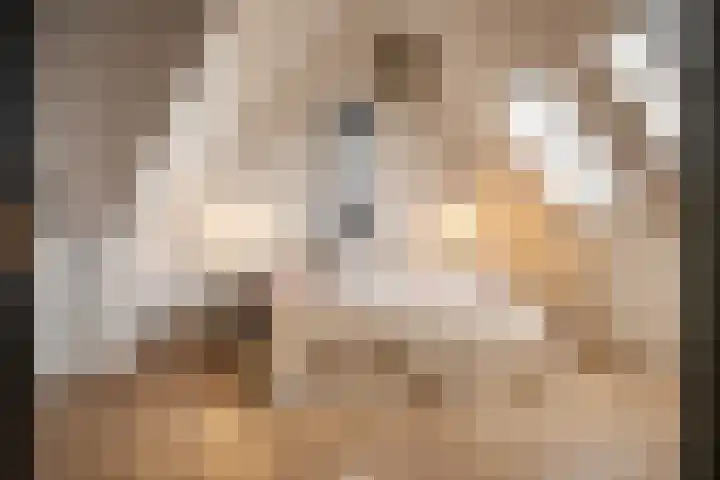 Professor Brouwerlaan 27 Blaricum thumbnail 32