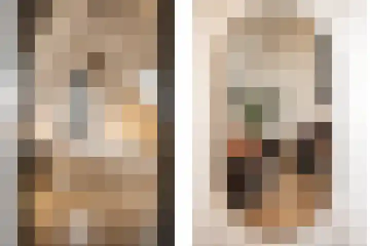 Professor Brouwerlaan 27 Blaricum thumbnail 34