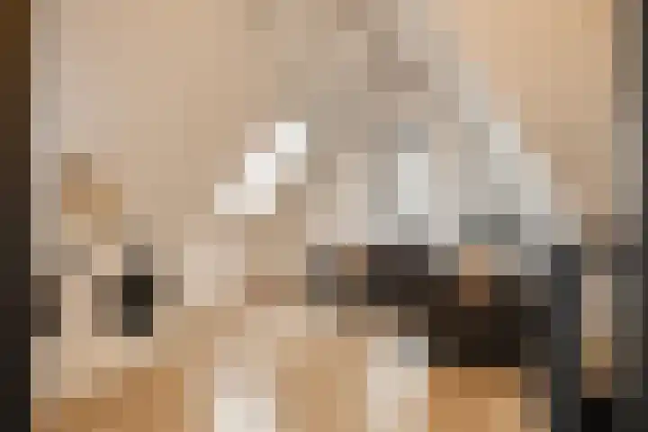 Professor Brouwerlaan 27 Blaricum thumbnail 35