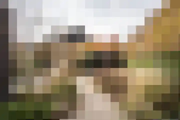 Professor Brouwerlaan 27 Blaricum thumbnail 40