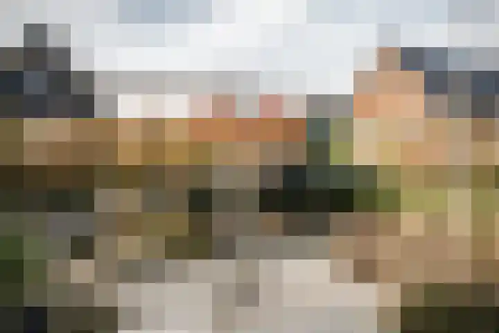 Professor Brouwerlaan 27 Blaricum thumbnail 41
