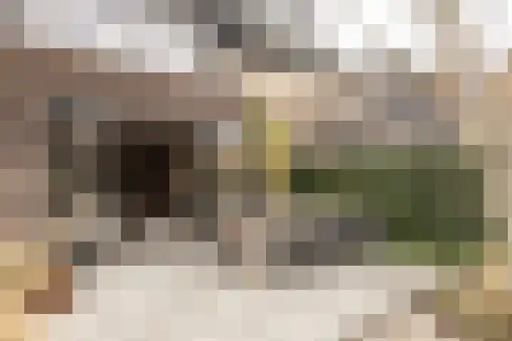Professor Brouwerlaan 27 Blaricum thumbnail 42