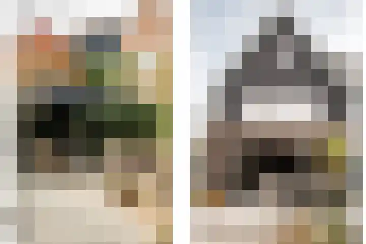 Professor Brouwerlaan 27 Blaricum thumbnail 43