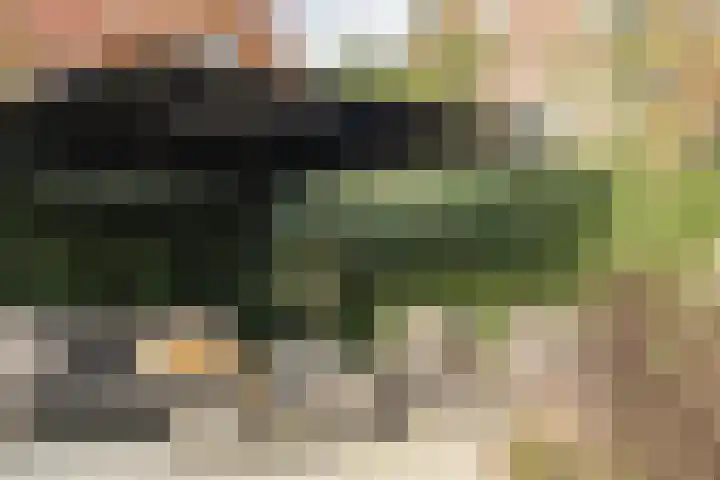 Professor Brouwerlaan 27 Blaricum thumbnail 44