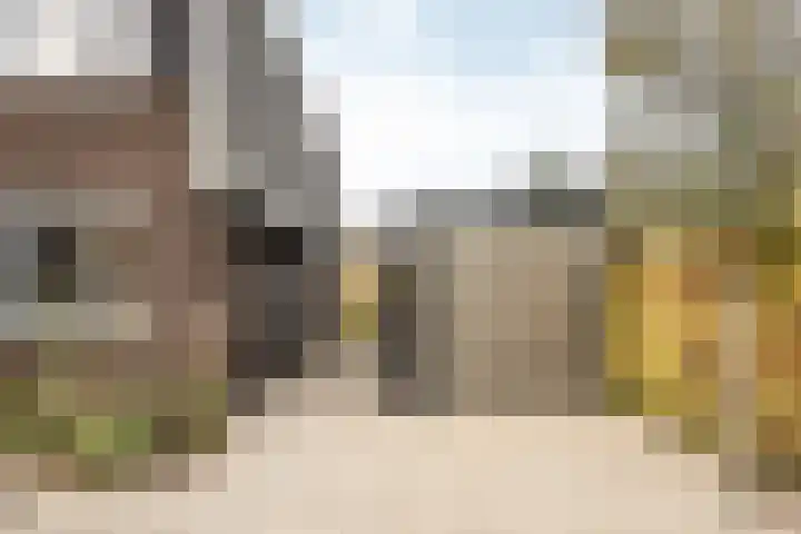 Professor Brouwerlaan 27 Blaricum thumbnail 46