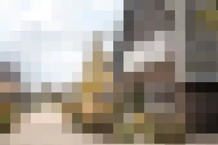 Professor Brouwerlaan 27 Blaricum thumbnail 48