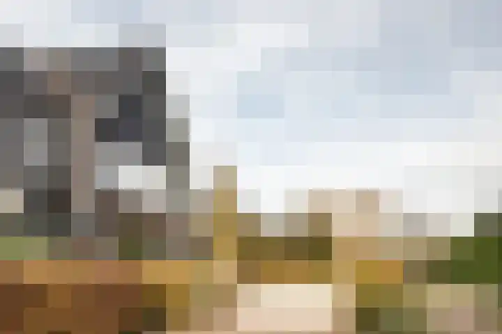 Professor Brouwerlaan 27 Blaricum thumbnail 50