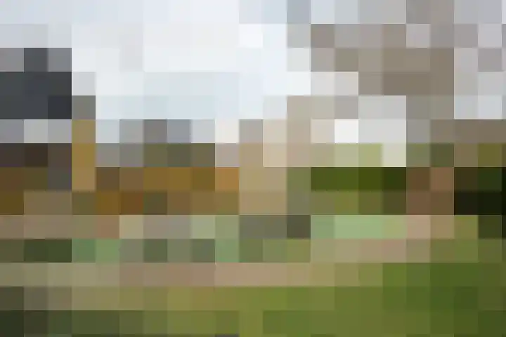 Professor Brouwerlaan 27 Blaricum thumbnail 51