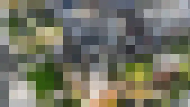 Professor Brouwerlaan 27 Blaricum thumbnail 56