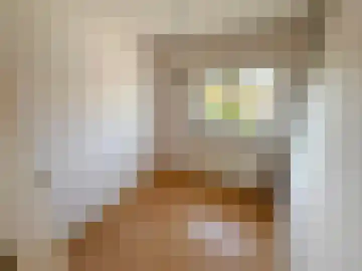 Professor Brummelkampstraat 12 Wapenveld thumbnail 12