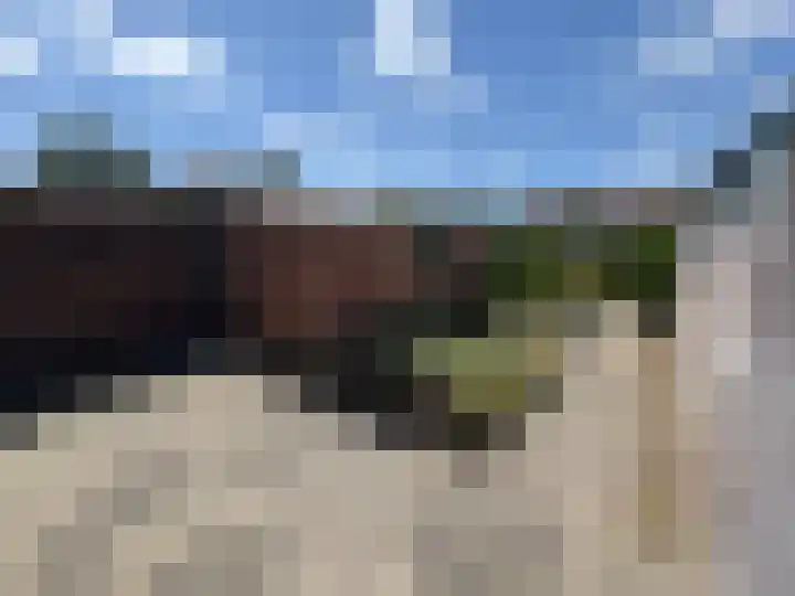 Professor Brummelkampstraat 12 Wapenveld thumbnail 17